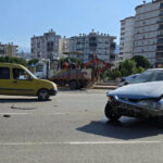 İzmir’de ayçiçeği üreticilerine yerli tohum desteği – Birlik Haber Ajansı