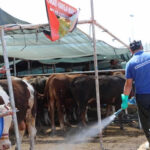 Başkan Topaloğlu’ndan öğrencilere motivasyon yemeği – Birlik Haber Ajansı