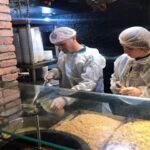 ATO Başkanı Baran: Gençliğin enerjisi en büyük sermayemiz – Birlik Haber Ajansı