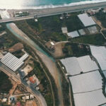 ÇAYKUR geleneği sürdürdü, minikler çay hasadında makas salladı – Birlik Haber Ajansı