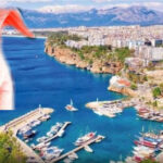 Aksaray ve Muğla’da sahipsiz köpek saldırıları: İki kişi yaralandı – Birlik Haber Ajansı