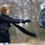 Cumhurbaşkanı Erdoğan: Ahtapotun kolları bir bir deşifre oluyor – Birlik Haber Ajansı