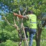 Atatürk Orman Çiftliği’nde açık hava nostaljisi – Birlik Haber Ajansı