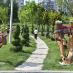 Çevre Haftası dolu dolu devam ediyor – Birlik Haber Ajansı