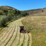 Leman Dergisi’nden skandal! Peygamber Efendimiz Hz. Muhammed’e hakaret ettiler – Birlik Haber Ajansı