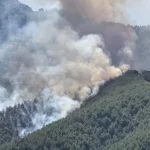 Son 10 günde çıkan 761 yangının tamamı kontrol altına alındı – Birlik Haber Ajansı