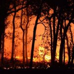 Tarım makineleri üreticinin her şeyi oldu – Birlik Haber Ajansı