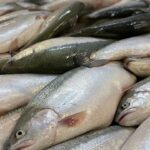 Aksaray OSB’de fabrikada patlama: 1 ölü, 3 yaralı – Birlik Haber Ajansı