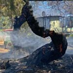 Akyaka da Kerbela Olayı’nın Yıl Dönümünde Anma Programı Düzenlendi – Birlik Haber Ajansı