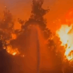 Bahçeli: Terörsüz Türkiye hedefi doğru zamanda atılan doğru adımdır – Birlik Haber Ajansı