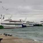 Elazığ’da dev etçil çekirge vatandaşın ilgisini çekti