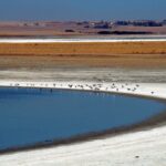 Zakir Avşar: Kudüs, insanlığın ortak vicdanı – Birlik Haber Ajansı