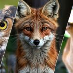 Kocaeli Dilovası’nda iş kazası: İki işçi hayatını kaybetti – Birlik Haber Ajansı