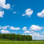 Kış lastiği zorunluluğu öne çekildi: Uygulama Kasım’da başlıyor – Birlik Haber Ajansı