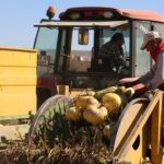 Şehit Sefa Tiftik Anadolu İ.H Lisesi’nde ilk yardım semineri – Birlik Haber Ajansı