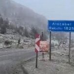Susuz’da "Dünya Yürüyüş Günü" etkinliği düzenlendi